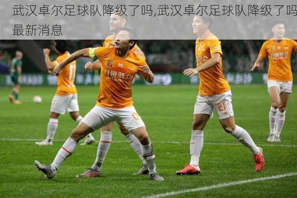 武汉卓尔足球队降级了吗,武汉卓尔足球队降级了吗最新消息