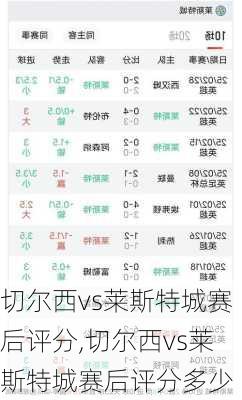 切尔西vs莱斯特城赛后评分,切尔西vs莱斯特城赛后评分多少