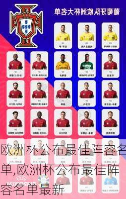 欧洲杯公布最佳阵容名单,欧洲杯公布最佳阵容名单最新