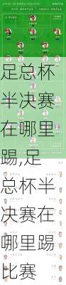 足总杯半决赛在哪里踢,足总杯半决赛在哪里踢比赛