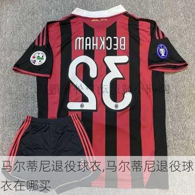 马尔蒂尼退役球衣,马尔蒂尼退役球衣在哪买