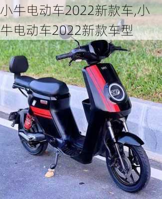 小牛电动车2022新款车,小牛电动车2022新款车型