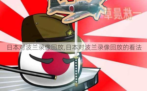 日本对波兰录像回放,日本对波兰录像回放的看法