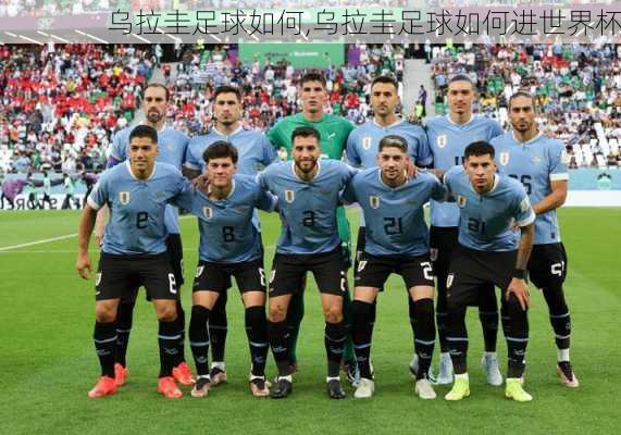 乌拉圭足球如何,乌拉圭足球如何进世界杯