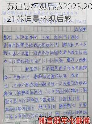 苏迪曼杯观后感2023,2021苏迪曼杯观后感