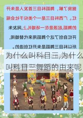 为什么叫科目三,为什么叫科目三舞蹈的由来呢