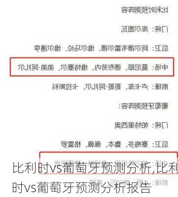 比利时vs葡萄牙预测分析,比利时vs葡萄牙预测分析报告
