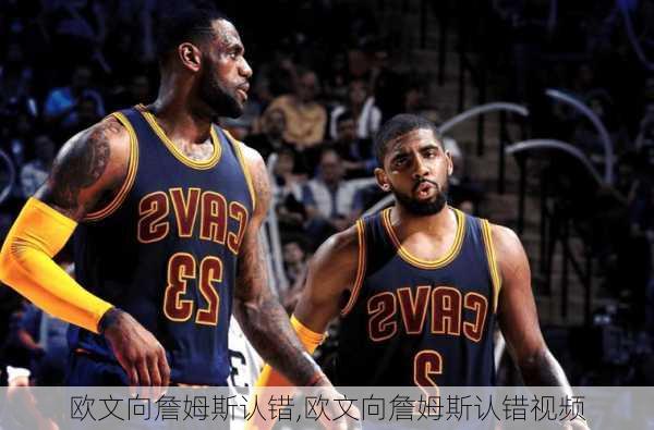 欧文向詹姆斯认错,欧文向詹姆斯认错视频