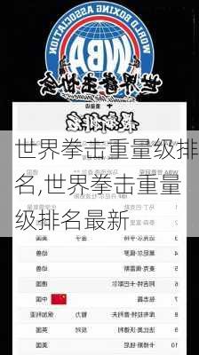 世界拳击重量级排名,世界拳击重量级排名最新