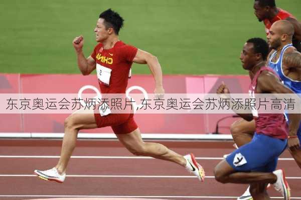东京奥运会苏炳添照片,东京奥运会苏炳添照片高清
