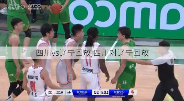 四川vs辽宁回放,四川对辽宁回放