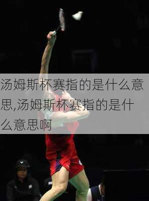 汤姆斯杯赛指的是什么意思,汤姆斯杯赛指的是什么意思啊