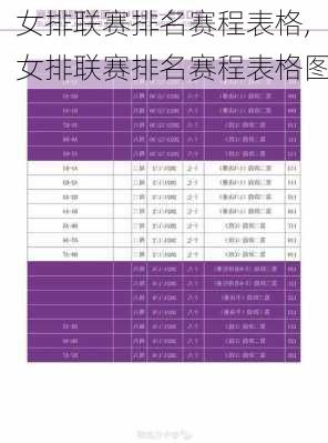 女排联赛排名赛程表格,女排联赛排名赛程表格图