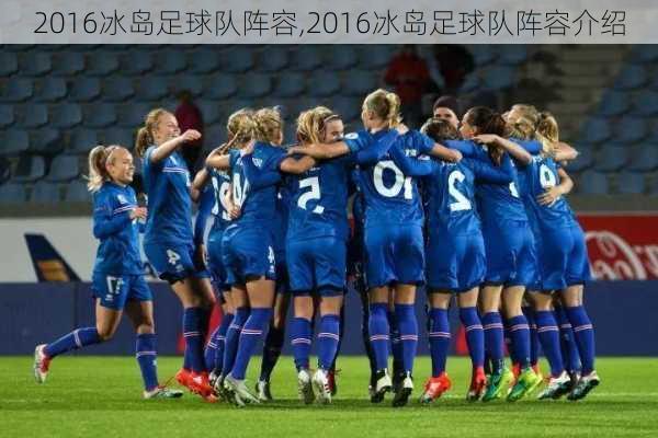 2016冰岛足球队阵容,2016冰岛足球队阵容介绍