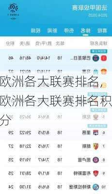 欧洲各大联赛排名,欧洲各大联赛排名积分