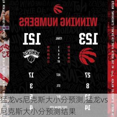 猛龙vs尼克斯大小分预测,猛龙vs尼克斯大小分预测结果