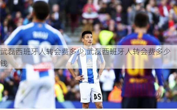 武磊西班牙人转会费多少,武磊西班牙人转会费多少钱