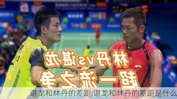 谌龙和林丹的差距,谌龙和林丹的差距是什么