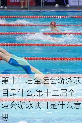 第十二届全运会游泳项目是什么,第十二届全运会游泳项目是什么意思