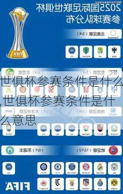 世俱杯参赛条件是什么,世俱杯参赛条件是什么意思