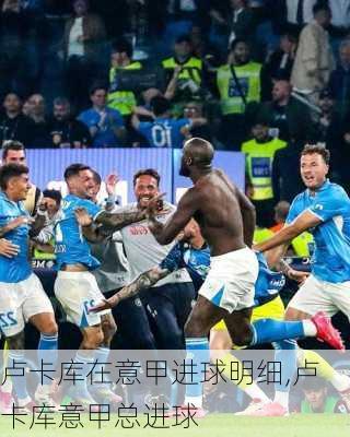 卢卡库在意甲进球明细,卢卡库意甲总进球