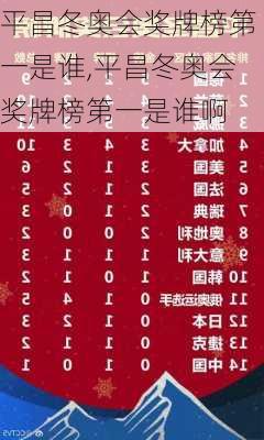 平昌冬奥会奖牌榜第一是谁,平昌冬奥会奖牌榜第一是谁啊
