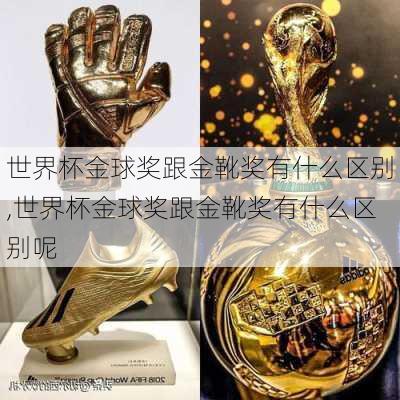 世界杯金球奖跟金靴奖有什么区别,世界杯金球奖跟金靴奖有什么区别呢