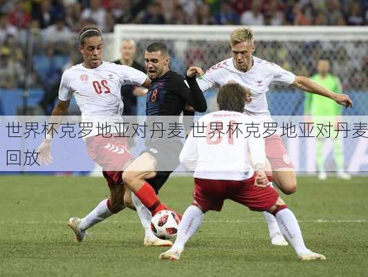 世界杯克罗地亚对丹麦,世界杯克罗地亚对丹麦回放