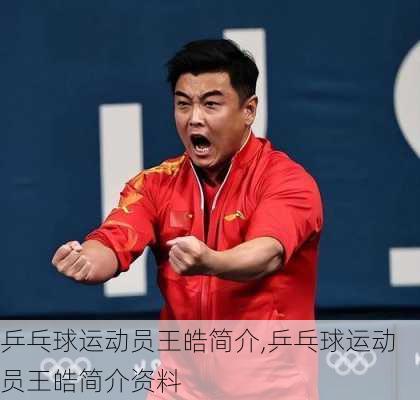 乒乓球运动员王皓简介,乒乓球运动员王皓简介资料