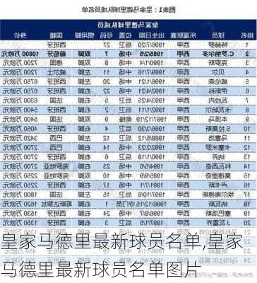皇家马德里最新球员名单,皇家马德里最新球员名单图片