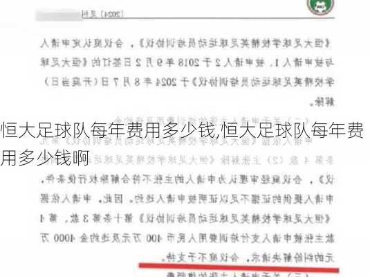 恒大足球队每年费用多少钱,恒大足球队每年费用多少钱啊