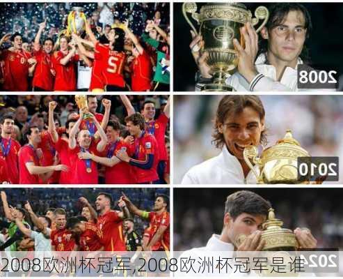 2008欧洲杯冠军,2008欧洲杯冠军是谁