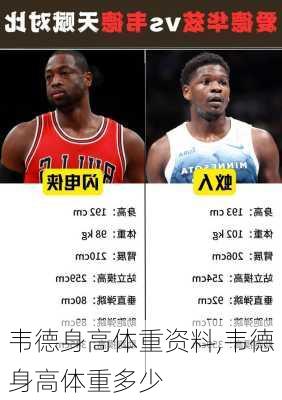 韦德身高体重资料,韦德身高体重多少
