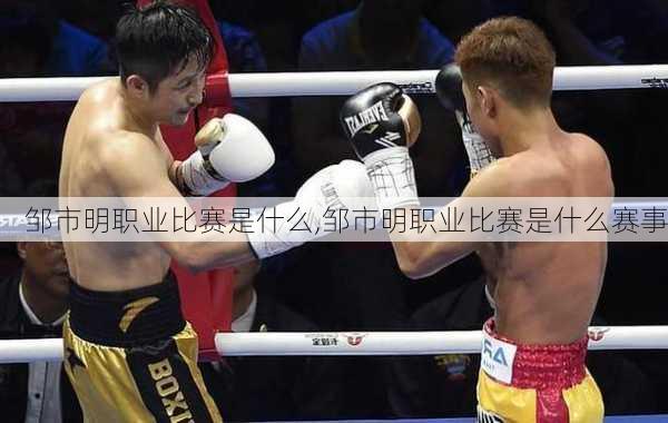 邹市明职业比赛是什么,邹市明职业比赛是什么赛事