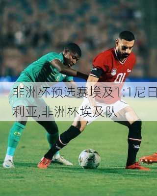 非洲杯预选赛埃及1:1尼日利亚,非洲杯埃及队