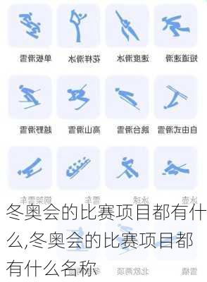 冬奥会的比赛项目都有什么,冬奥会的比赛项目都有什么名称