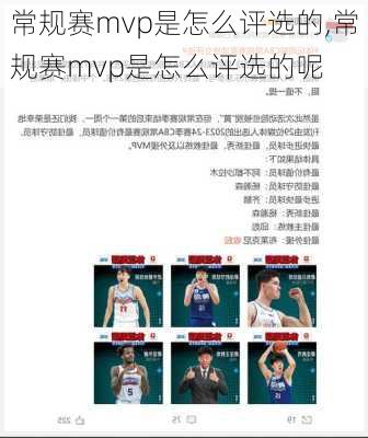 常规赛mvp是怎么评选的,常规赛mvp是怎么评选的呢