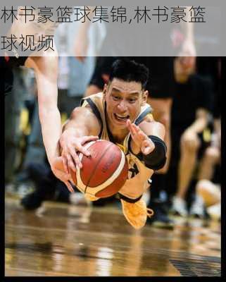 林书豪篮球集锦,林书豪篮球视频