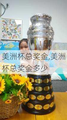 美洲杯总奖金,美洲杯总奖金多少