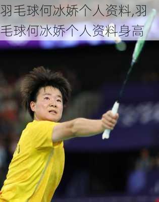 羽毛球何冰娇个人资料,羽毛球何冰娇个人资料身高
