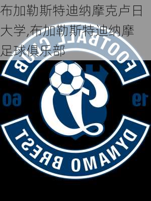布加勒斯特迪纳摩克卢日大学,布加勒斯特迪纳摩足球俱乐部
