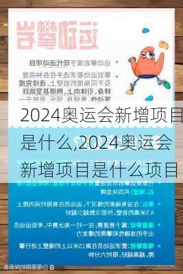 2024奥运会新增项目是什么,2024奥运会新增项目是什么项目