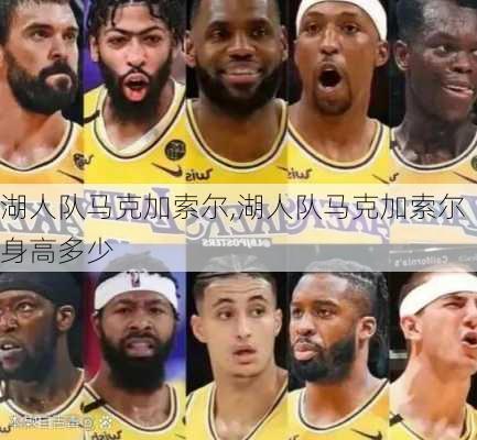 湖人队马克加索尔,湖人队马克加索尔身高多少