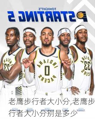 老鹰步行者大小分,老鹰步行者大小分别是多少