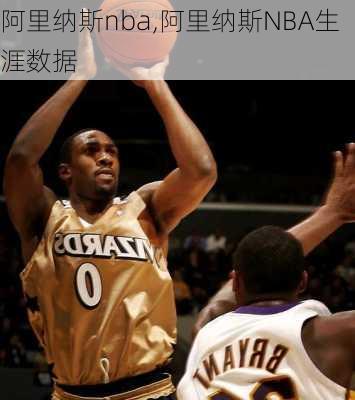 阿里纳斯nba,阿里纳斯NBA生涯数据