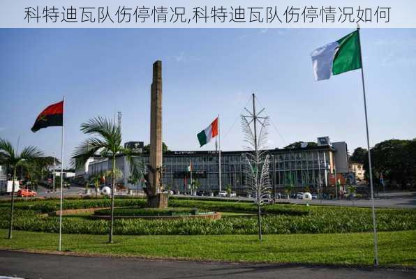 科特迪瓦队伤停情况,科特迪瓦队伤停情况如何