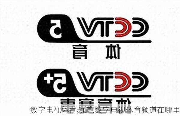 数字电视体育频道,数字电视体育频道在哪里