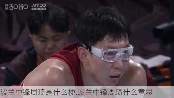 波兰中锋周琦是什么梗,波兰中锋周琦什么意思