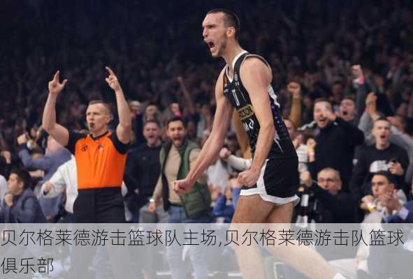 贝尔格莱德游击篮球队主场,贝尔格莱德游击队篮球俱乐部