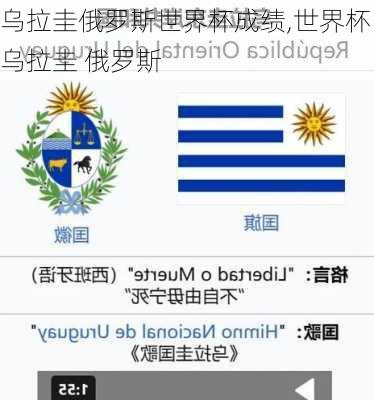 乌拉圭俄罗斯世界杯成绩,世界杯 乌拉圭 俄罗斯